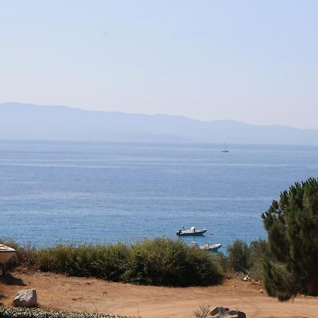 F2 Vue Mer Dans Residence Avec Piscine Ajaccio  Bagian luar foto