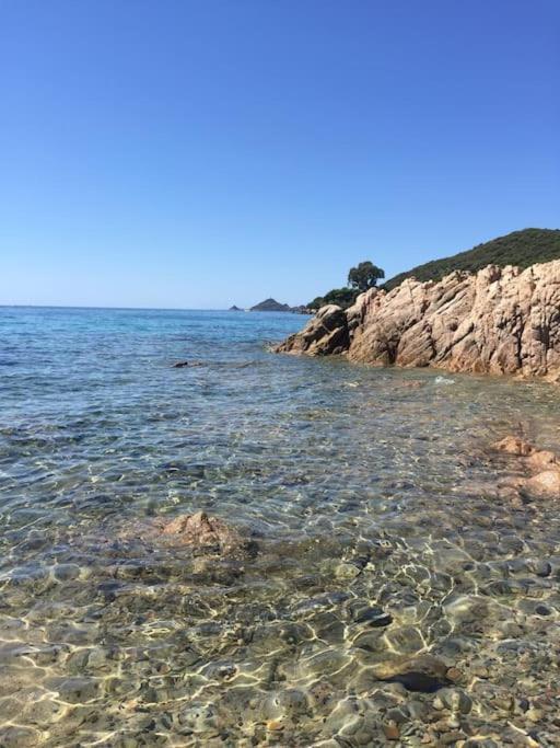 F2 Vue Mer Dans Residence Avec Piscine Ajaccio  Bagian luar foto