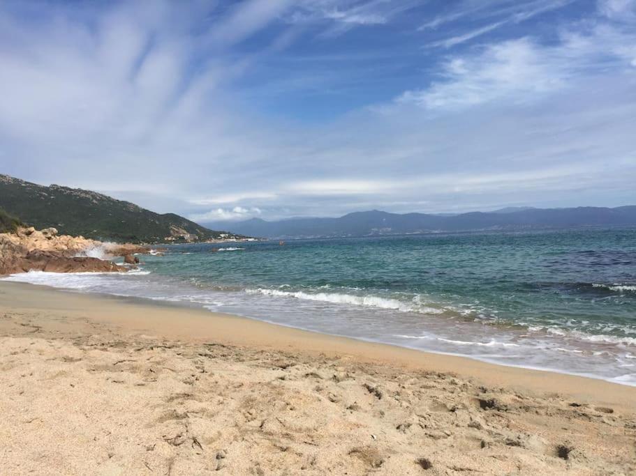 F2 Vue Mer Dans Residence Avec Piscine Ajaccio  Bagian luar foto